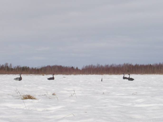 ����������-������