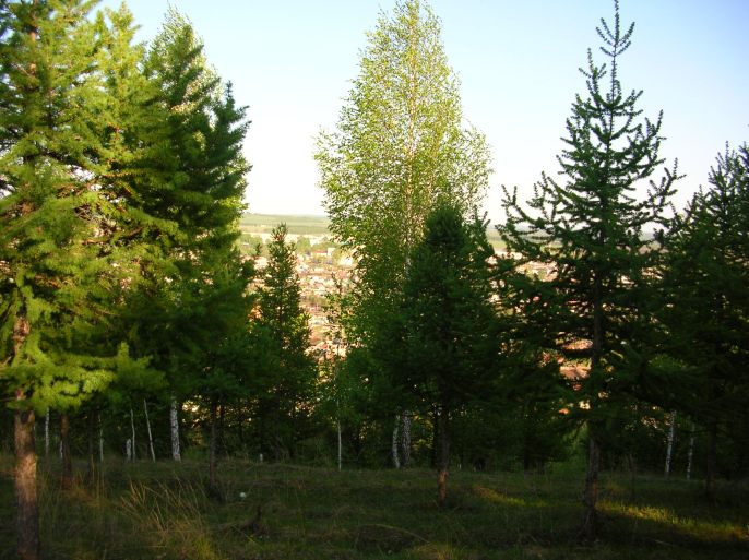 ����������-������ �������