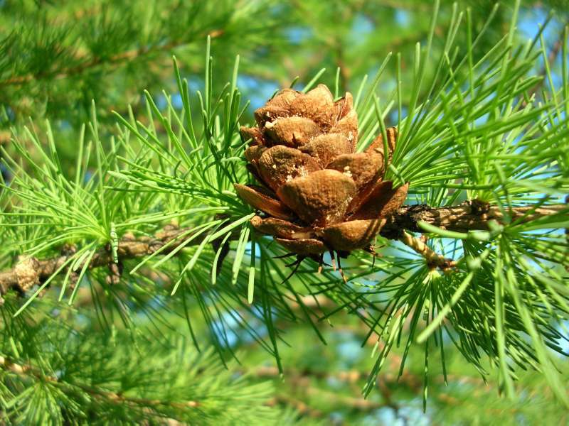 ����������-�����!