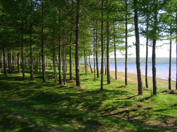 ����������-����� ����������