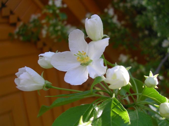 ����������-���� ����� ������ � ���� � ����