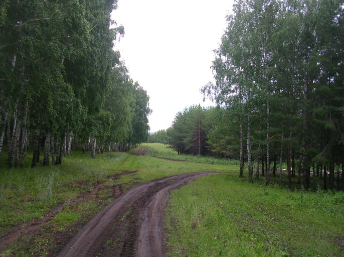 ����������-� ����