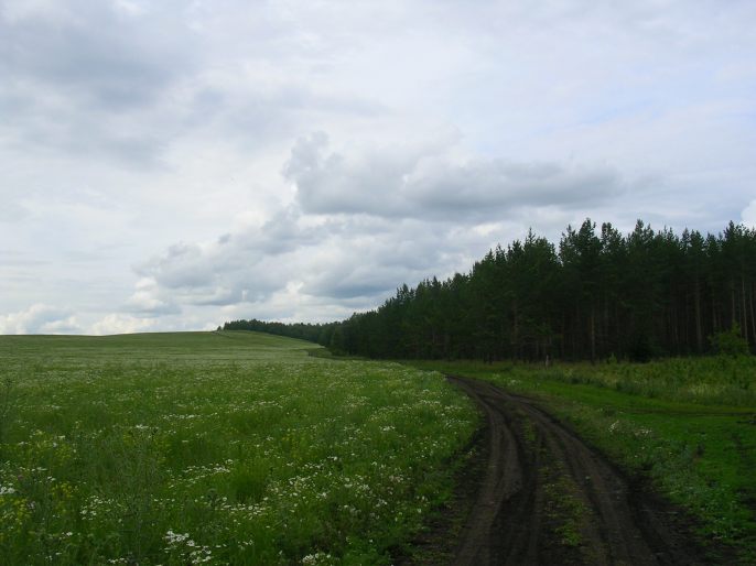 ����������-�������