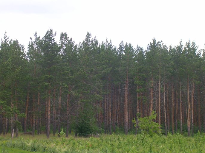 ����������-������