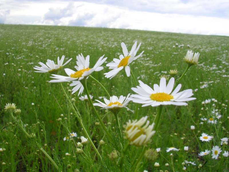 ����������-������