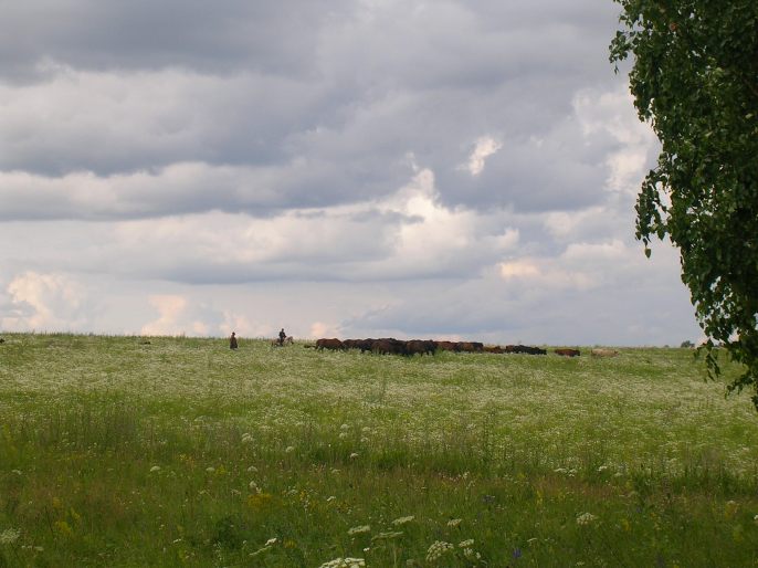 ����������-������