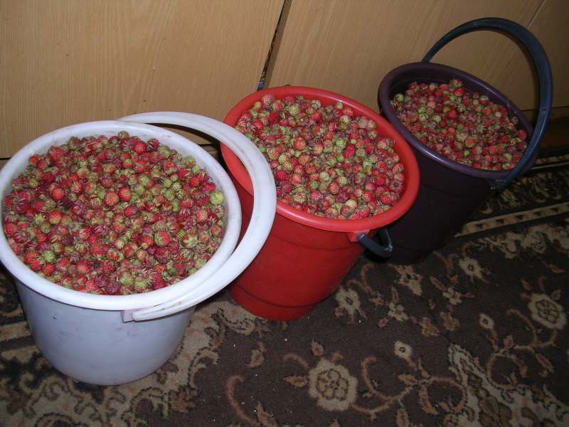 ����������-������