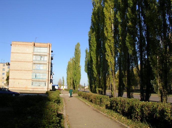 ����������-���������2