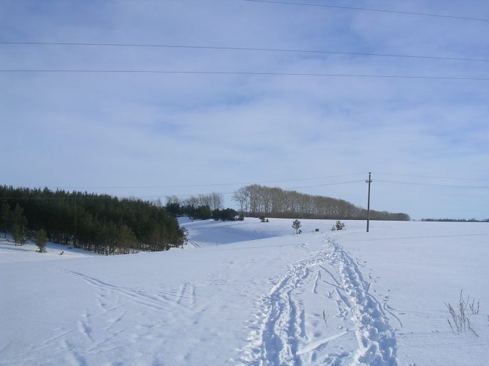 ����������-�������