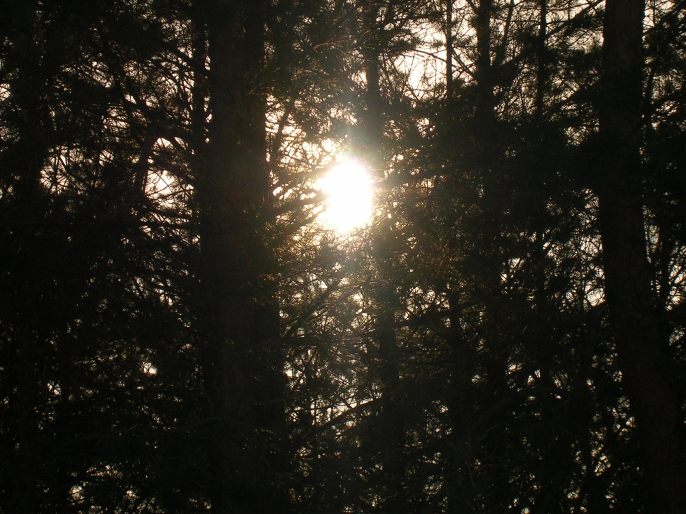 ����������-�������� ������