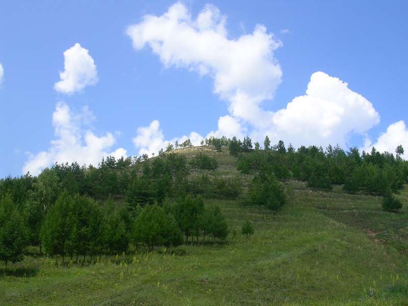 ����������-�����������