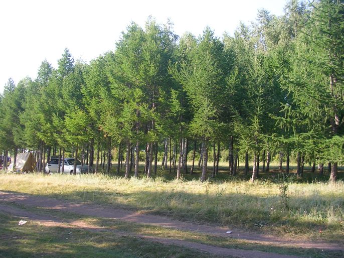 ����������-�������� ���������