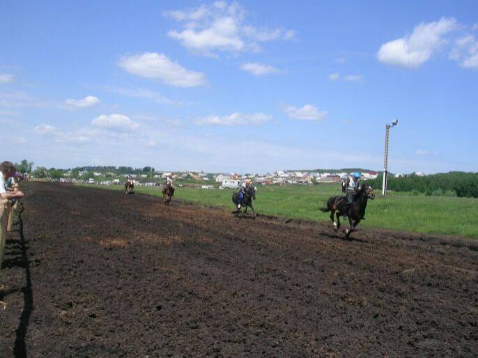 ����������-������ ������