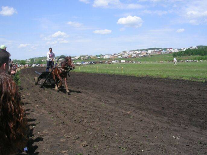 ����������-������ � ��������