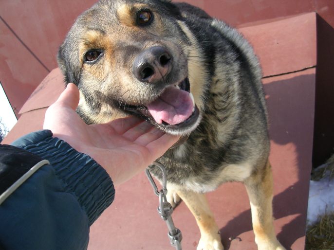 ����������-����� ��������