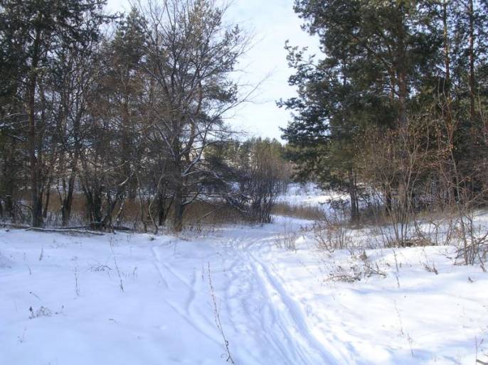 ����������-������� �������