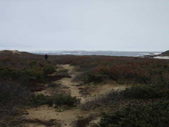 ����������-NATURE