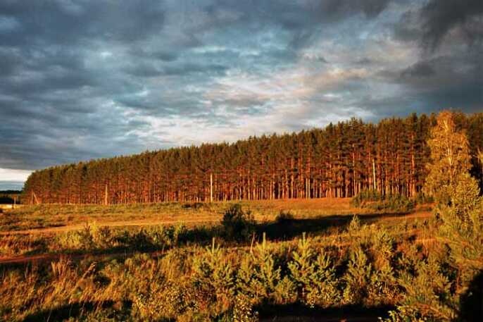 ����������-�����